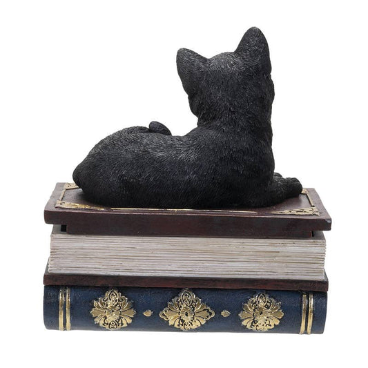 Black Cat on Book Box