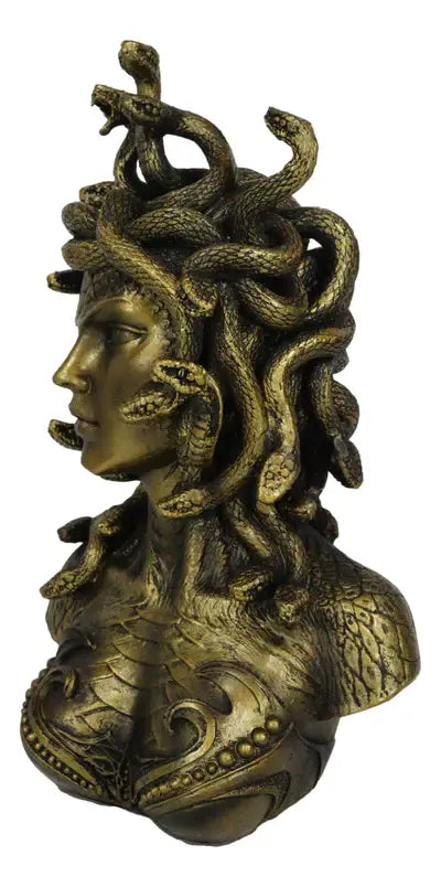 Medusa Bust