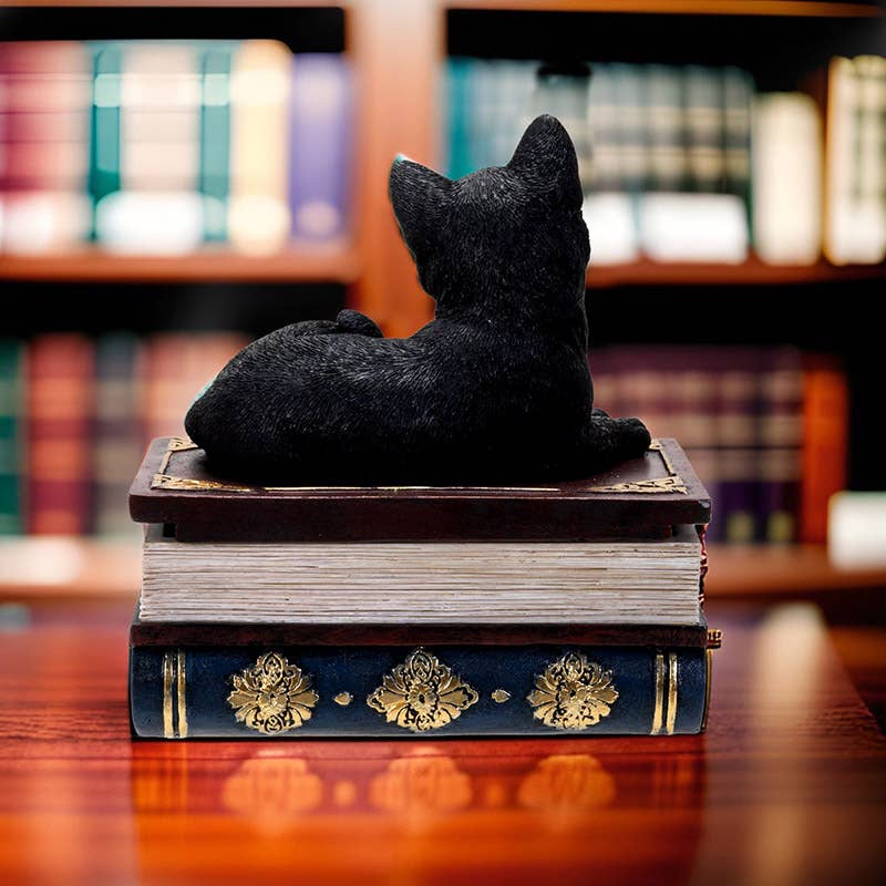 Black Cat on Book Box