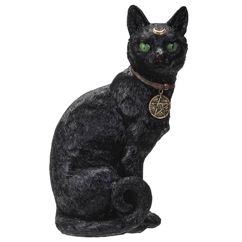 Wiccan Black Cat