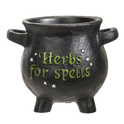 Herbs for Spells Cauldron Planter