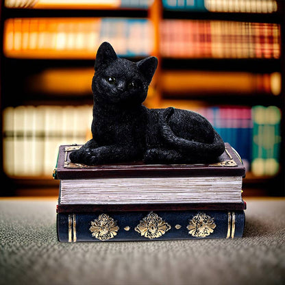 Black Cat on Book Box
