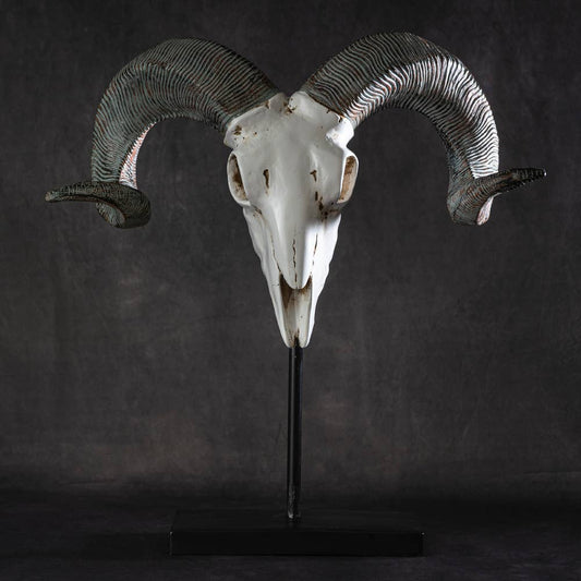 Ram Decorative Skull
