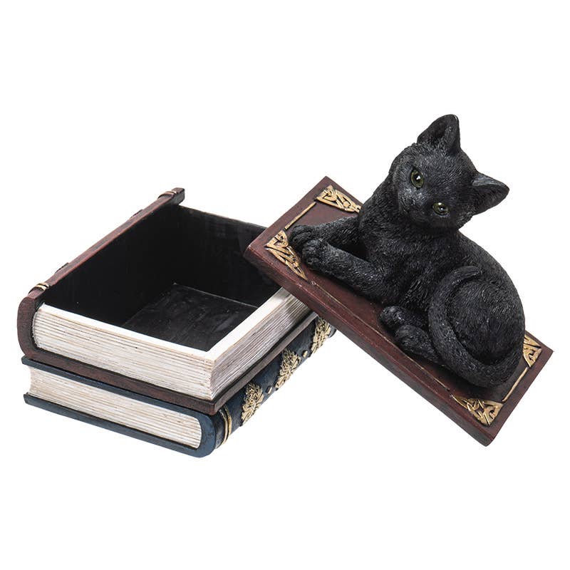 Black Cat on Book Box
