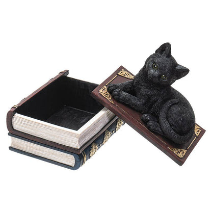 Black Cat on Book Box