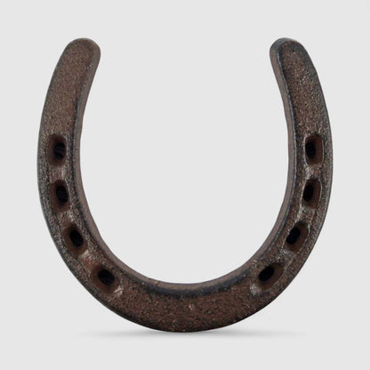 Horseshoe Wall Plaque, Cast Iron Western Good Luck Wall Decor, 4.5"
