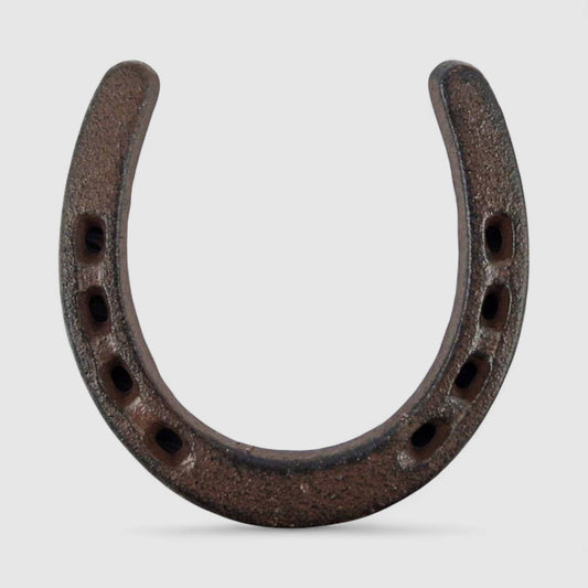 Horseshoe Wall Plaque, Cast Iron Western Good Luck Wall Decor, 4.5"