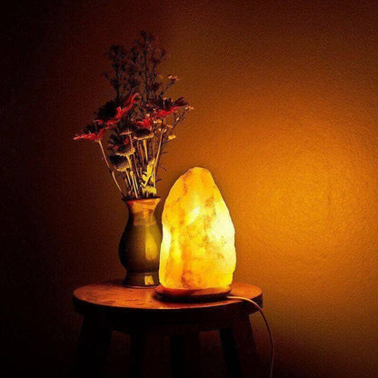 Original Himalayan Salt Rock Lamp (Large)