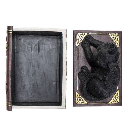 Black Cat on Book Box