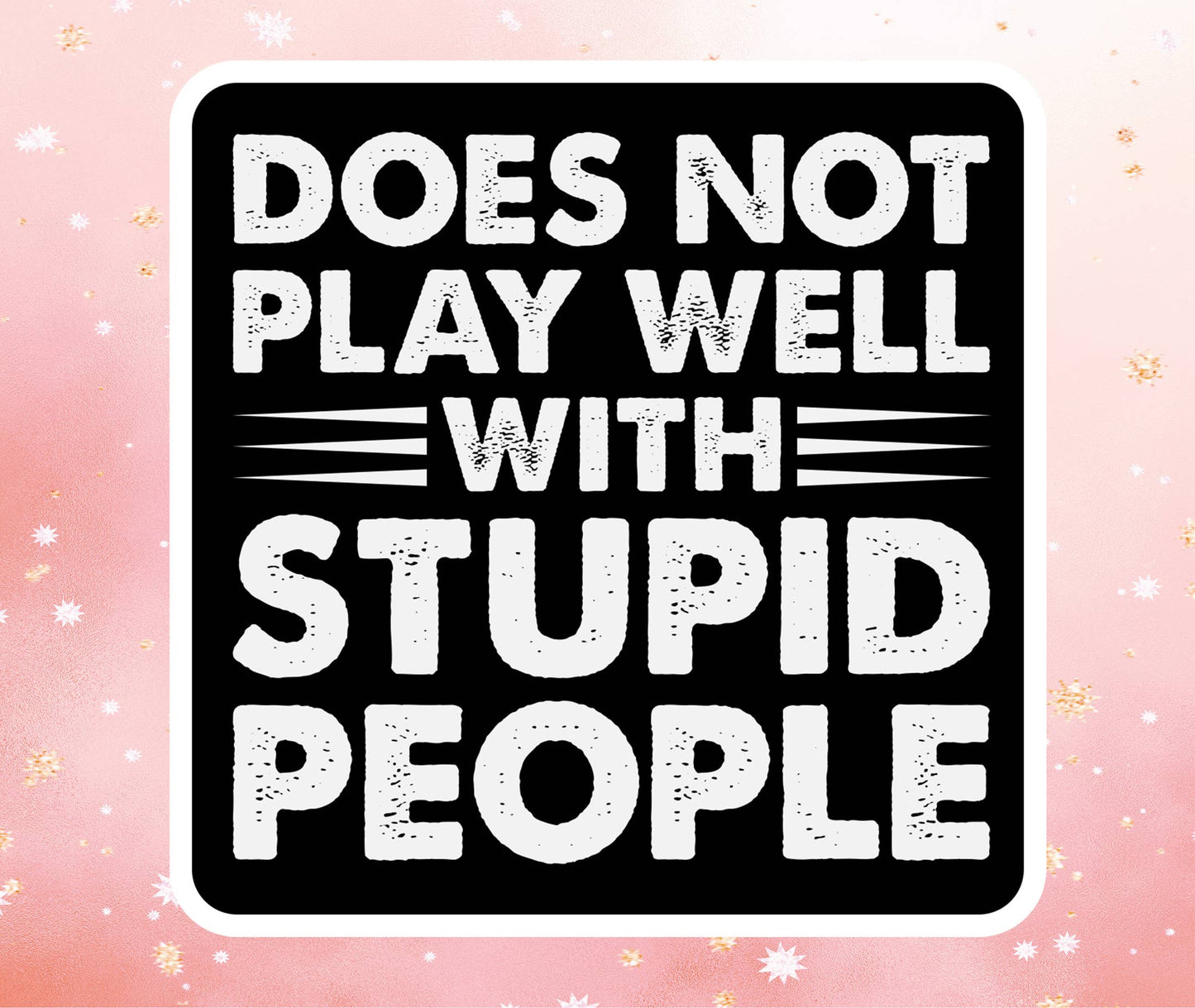 Does Not Play Well With Stupid People Vinyl Sticker Funny