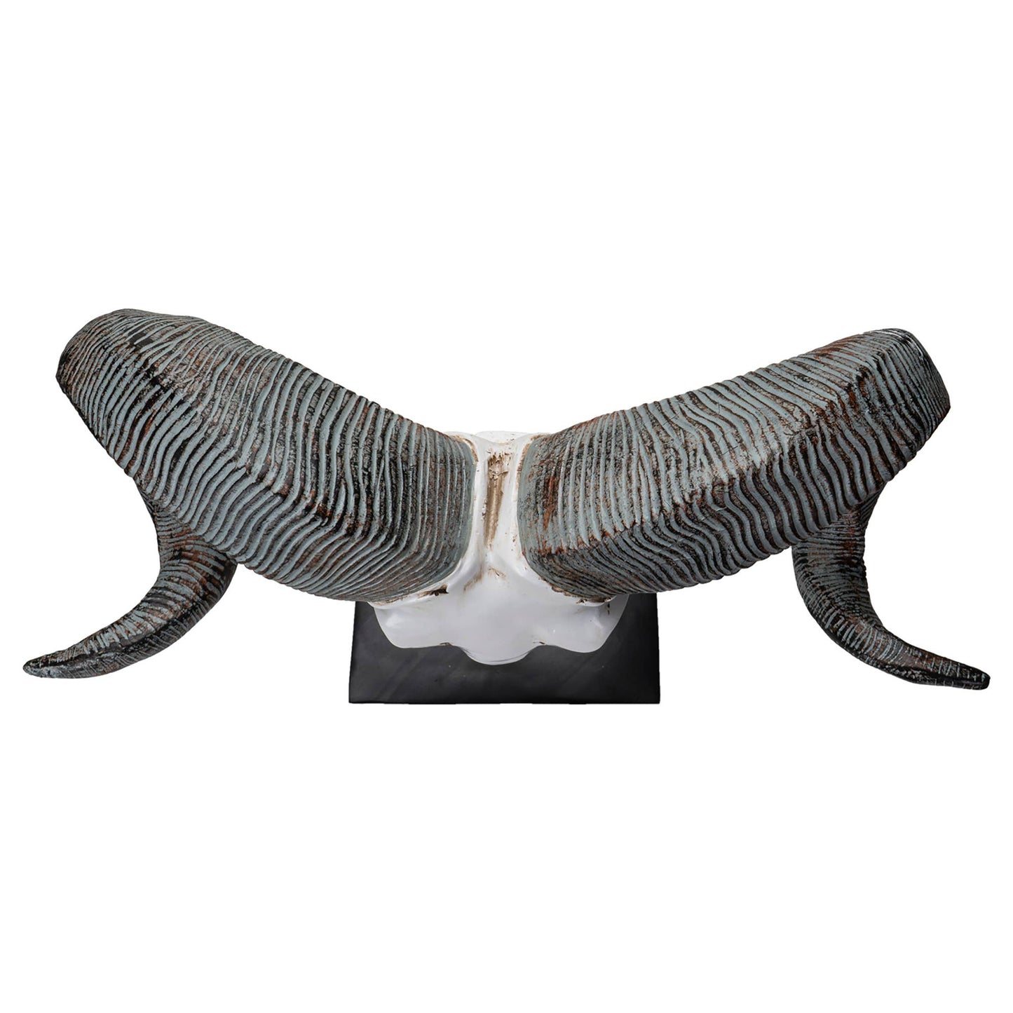 Ram Decorative Skull