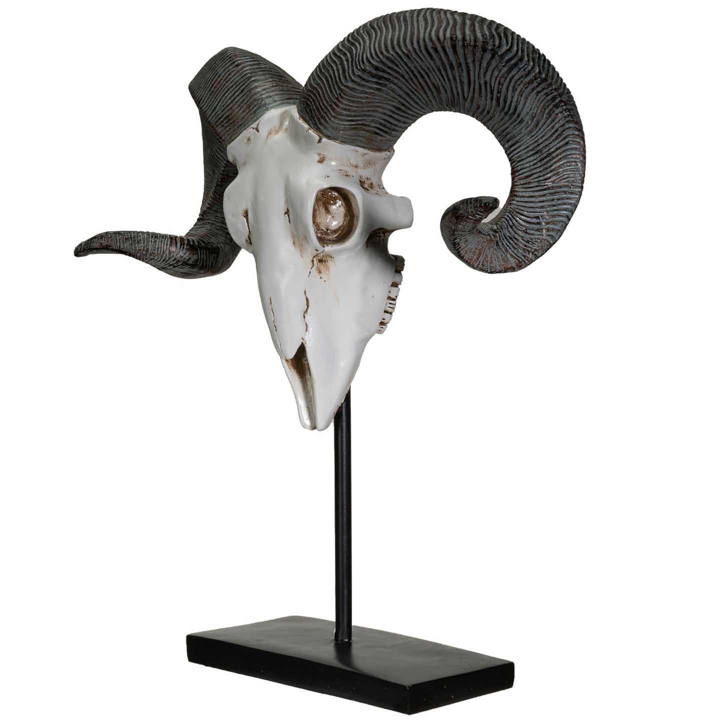 Ram Decorative Skull