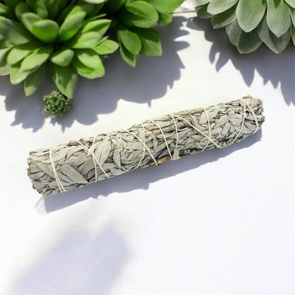 White Sage - Large
