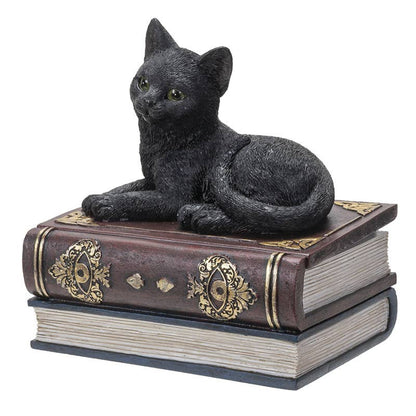 Black Cat on Book Box