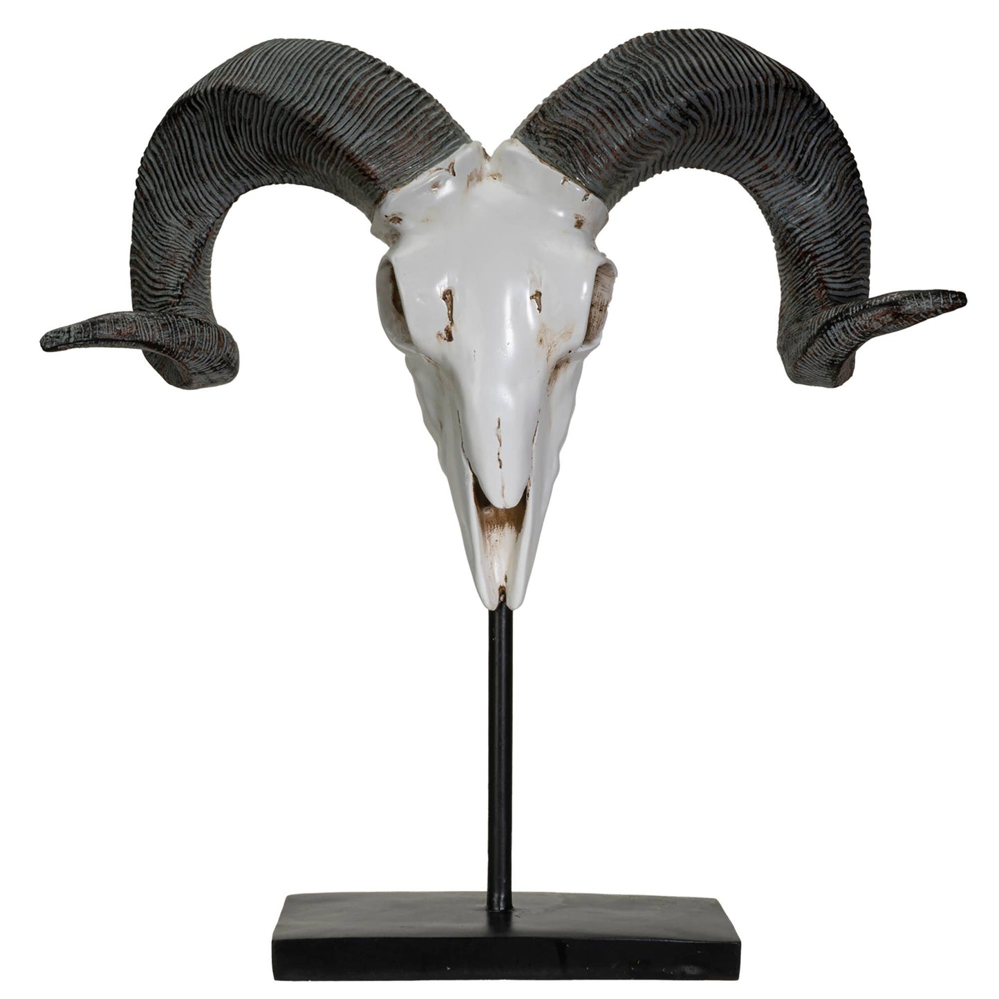 Ram Decorative Skull