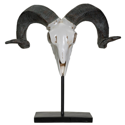 Ram Decorative Skull