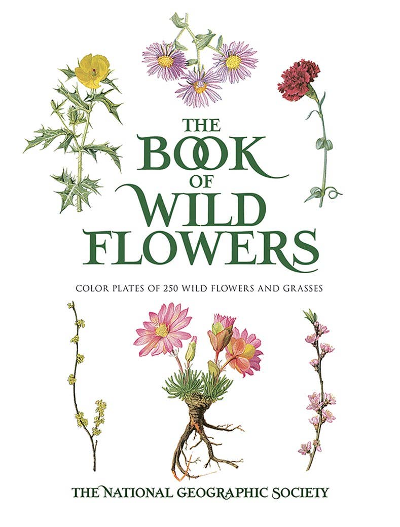 The Book Of Wild Flowers
