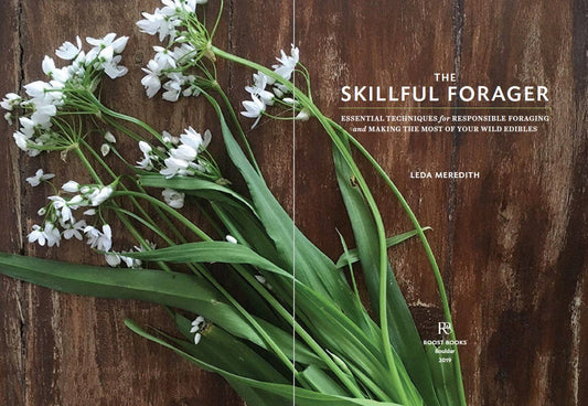 Skillful Forager: Essential Techniques for Responsible ...