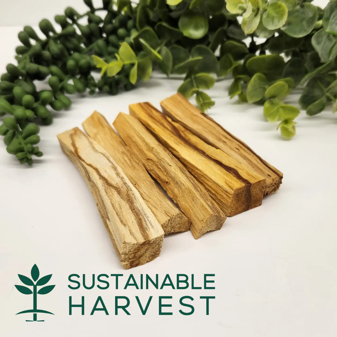 Palo Santo Sticks -1 kg(2.2 lbs) Approx. 8-10cm/3-4" Length