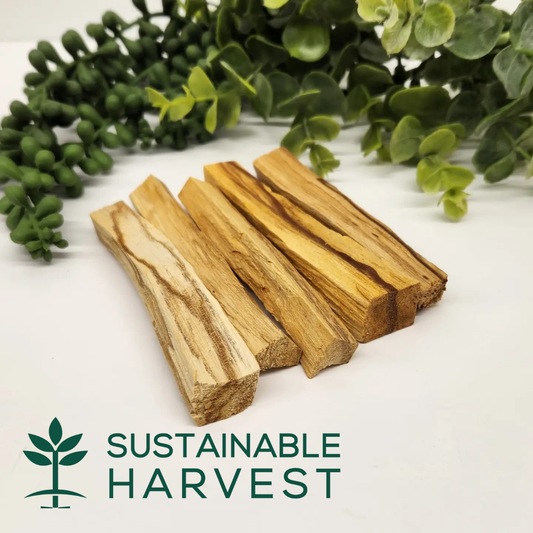 Palo Santo Sticks -1 kg(2.2 lbs) Approx. 8-10cm/3-4" Length