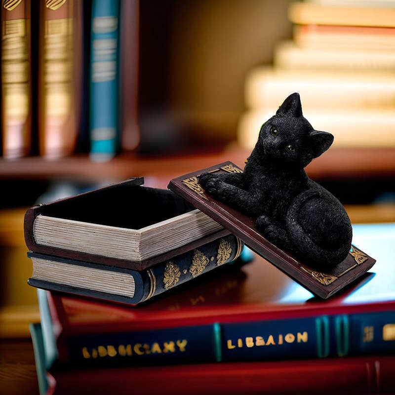 Black Cat on Book Box